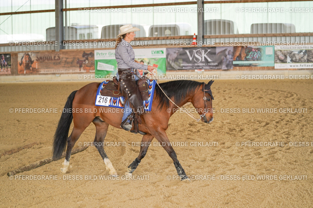 DSC02153 | Pferdegrafie