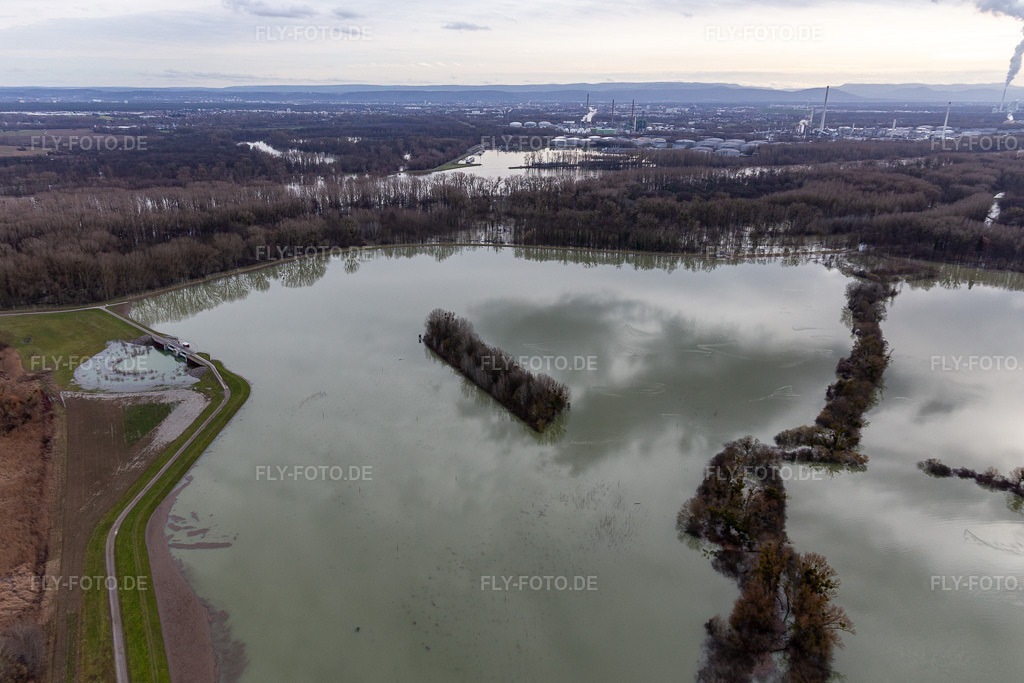 Luftbild: Überflutete Flutungswiesen des Polder Neupotz am Hochwasser- Pegel führenden Flußbett des Rhein in Neupotz in Wörth am Rhein im Bundesland Rheinland-Pfalz in Deutschland. Foto: IMG_124212.jpg vom 04.02.2021 durch Werner Riehm/FLY-FOTO.de