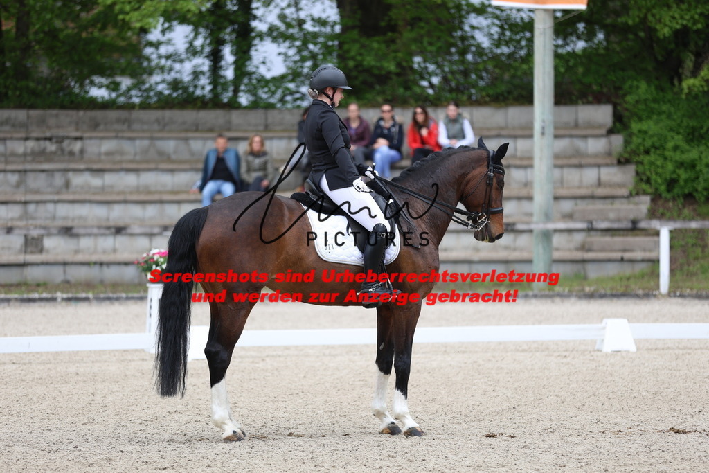 A40A4239 | lmwpictures - Realisiert mit Pictrs.com