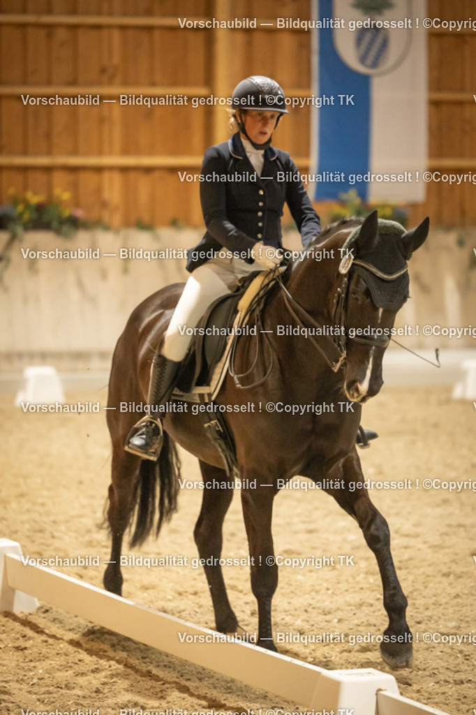 _D5A4077 | Emotionale Pferde- & People-Fotografie rund um Heidelberg, Leimen & Umgebung. Natürliche Fotos von Pferd, Mensch & Familie. Jetzt Termin sichern!