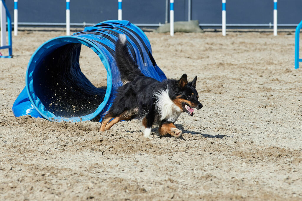 580A0087 | Peter Fridle Fotografie - Realisiert mit Pictrs.com