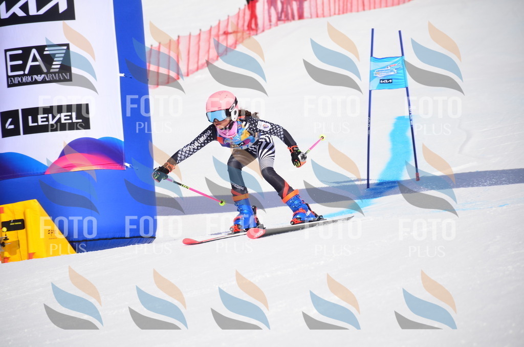 VR4_0110 | holidayphoto