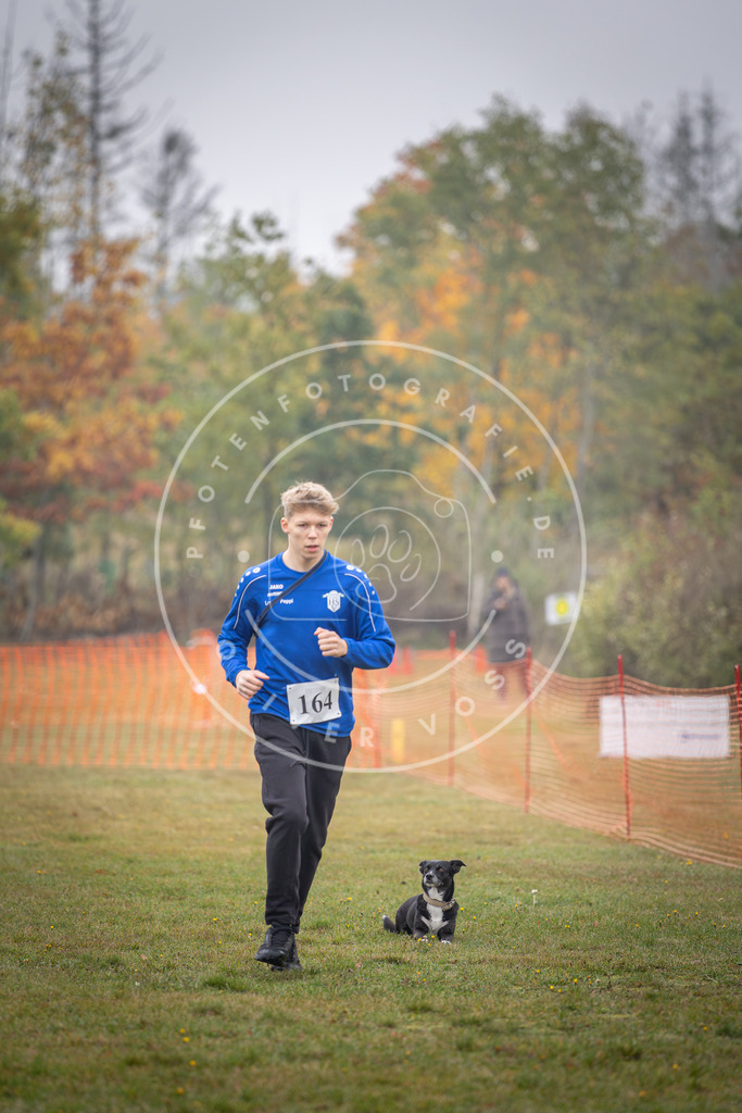 Pfotenfotografie_DV3A8895 | Hundefotografie, Tierfotograf, Pfotenfotografie, Fotoshooting Hund, Hunde Portrait, Hundesport, Hundeportraits, Heideshooting, Hunde, Sportfotograf, Hundefotograf, Turnierhundsport, THS,  - Realisiert mit Pictrs.com