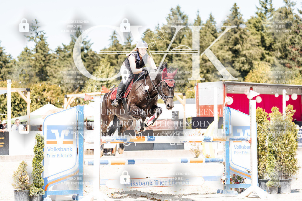 CK900631 | Turnierfotografie Pferdefotografie Trier Rheinland-Pfalz Pferdesport Reitsport Tierfotografie Sportfotografie Pferdevideo Pferdevideografie Equestrianvideography equestrianphotography  - Realisiert mit Pictrs.com
