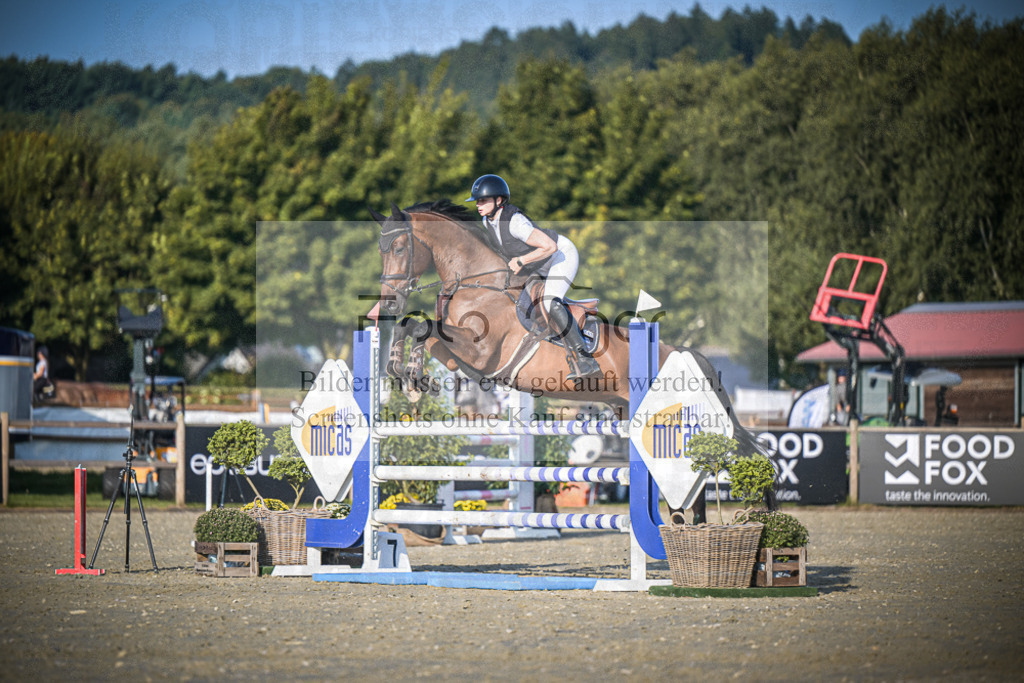 DOS_0677 | Entdecke hochwertige Reitturnierfotos von Foto Oger. Professionell, emotional und authentisch – jetzt Lieblingsmomente im Shop bestellen.Deutschlandweite Turnierfotografie. - Realisiert mit Pictrs.com