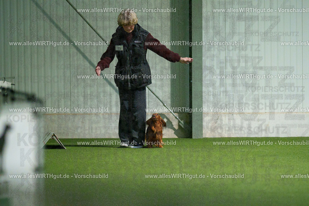 7R506882 | Professionelle Tierfotografie in Mönchengladbach von Daniel Wirth (allesWIRTHgut). Liebevolle & natürliche Bilder von Hunden & Katzen für unvergessliche Erinnerungen.