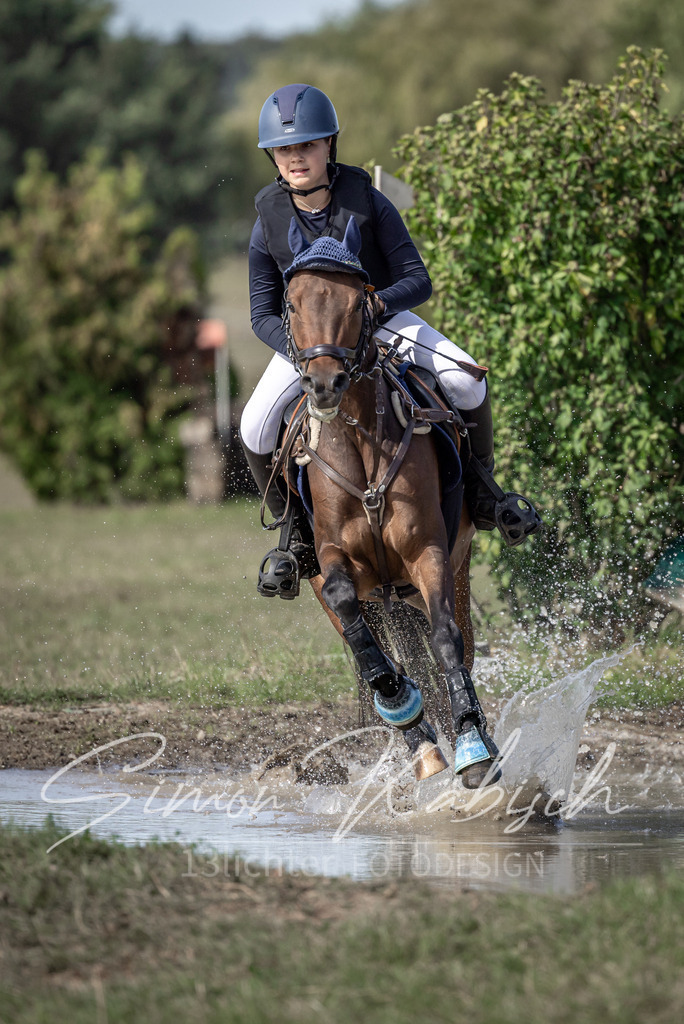 20250907-_3LI9518 | Tierfotografie Pferde, Hunde, Katzen, Haustiere.
Turnierfotografie Reitturniere, Reiten, Springreiten, Dressur in Hanau, dem Main-Kinzig-Kreis und dem Rhein-Main- Gebiet um Frankfurt