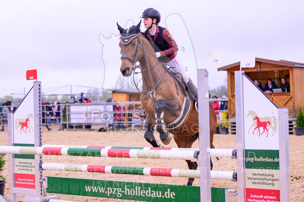12042026-Mammendorf-Prfg38-0692 | Fokus Hufschlag Fotografie - Realisiert mit Pictrs.com