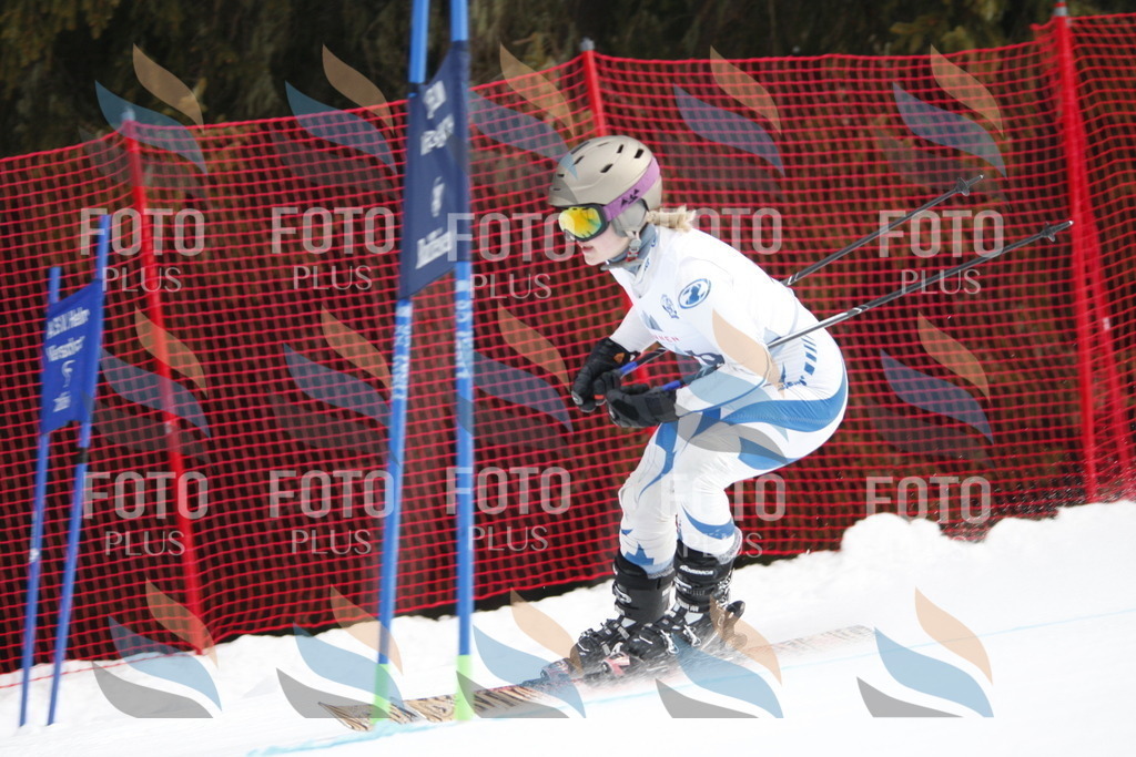 D4991 | holidayphoto