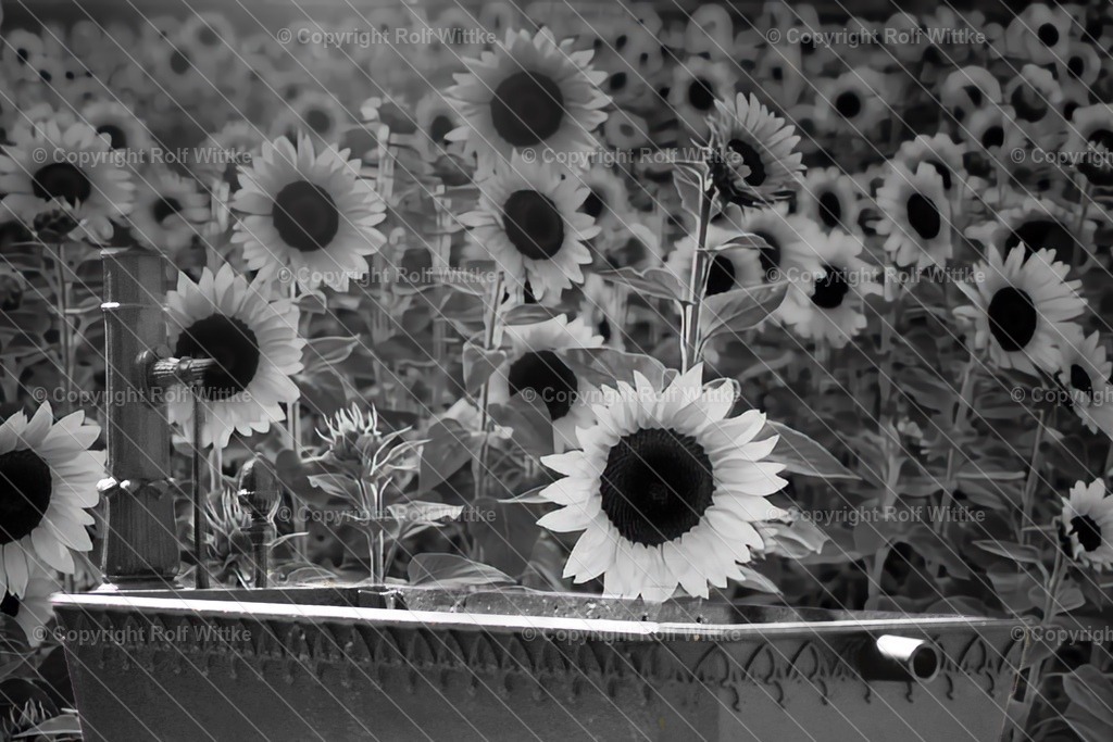 IMG_E1334 | Erholung pur - Realisiert mit Pictrs.com