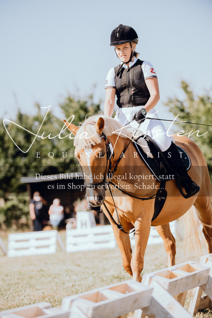 DSC_7094 | Pferde- und Turnierfotografie in Westsachsen. Pferdeportraits, Auftragszeichnungen und intuitive Kunst.