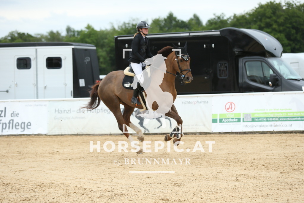DL2Q3665 | Willkommen bei Brunnmayr - Design & Fotografie – Ihrem Spezialisten für Reitturniere und Pferdeveranstaltungen in Oberösterreich, Salzburg und Bayern! Seit über 17 Jahren sind wir leidenschaftlich dabei.