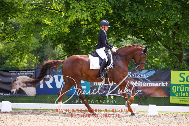 DKP41201 | Turnierfotos kaufen im Webshop von Daniel Kuhl Photography – entdecke professionelle Reitsportfotos aus Turnieren & Events. Hochwertige Turnierbilder online bestellen & sichern. Jetzt Fotos von Reitsportturnieren kaufen!