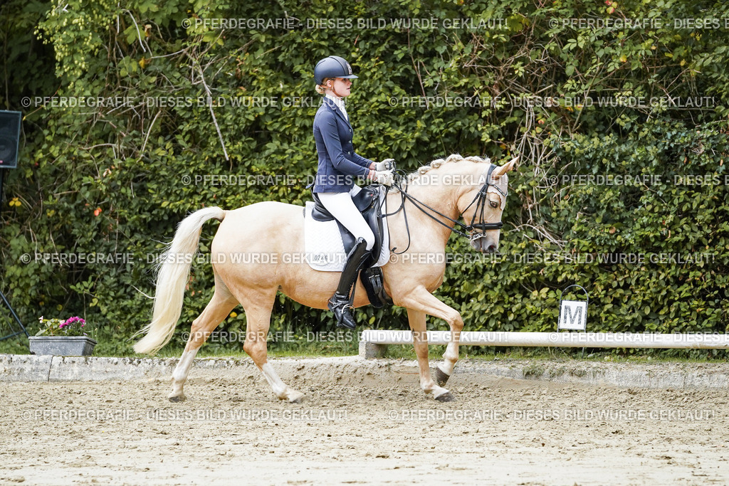 DSC07591 | Pferdegrafie