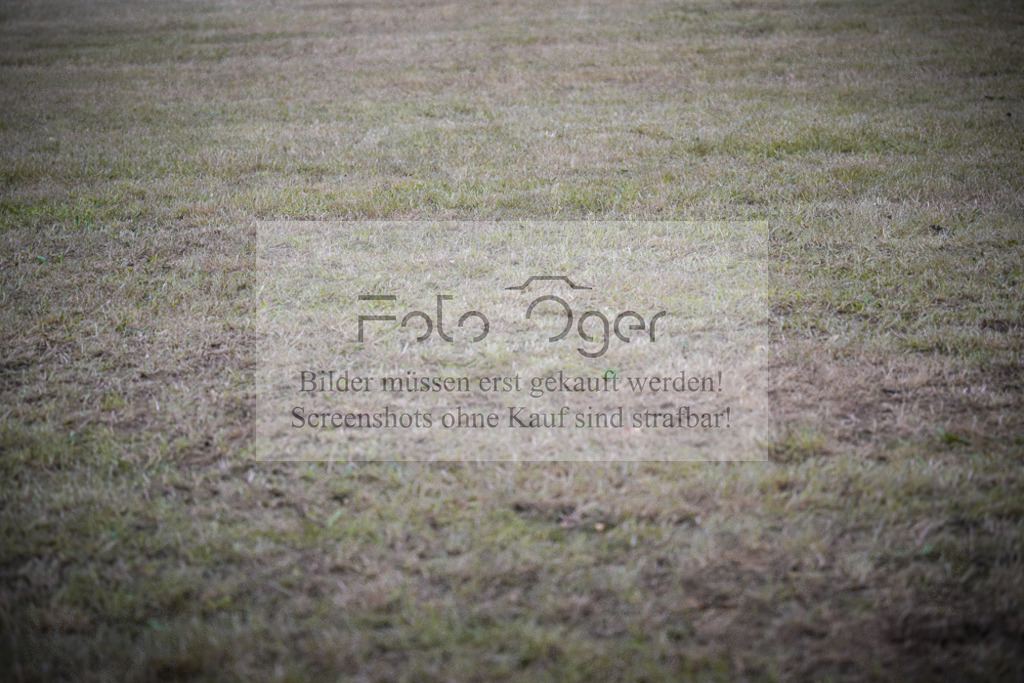 DOS_0540 | Entdecke hochwertige Reitturnierfotos von Foto Oger. Professionell, emotional und authentisch – jetzt Lieblingsmomente im Shop bestellen.Deutschlandweite Turnierfotografie. - Realisiert mit Pictrs.com