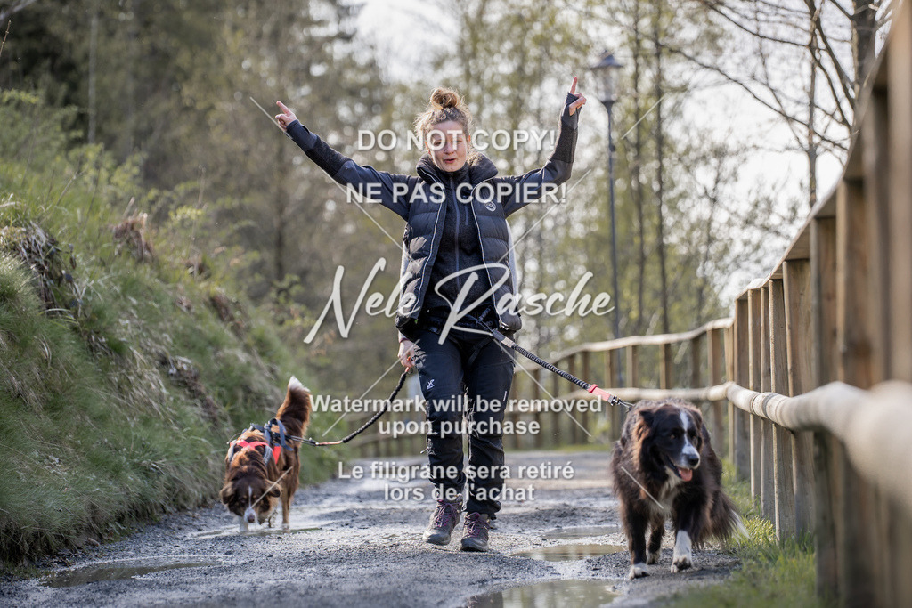 NR__0664 | nelerasche