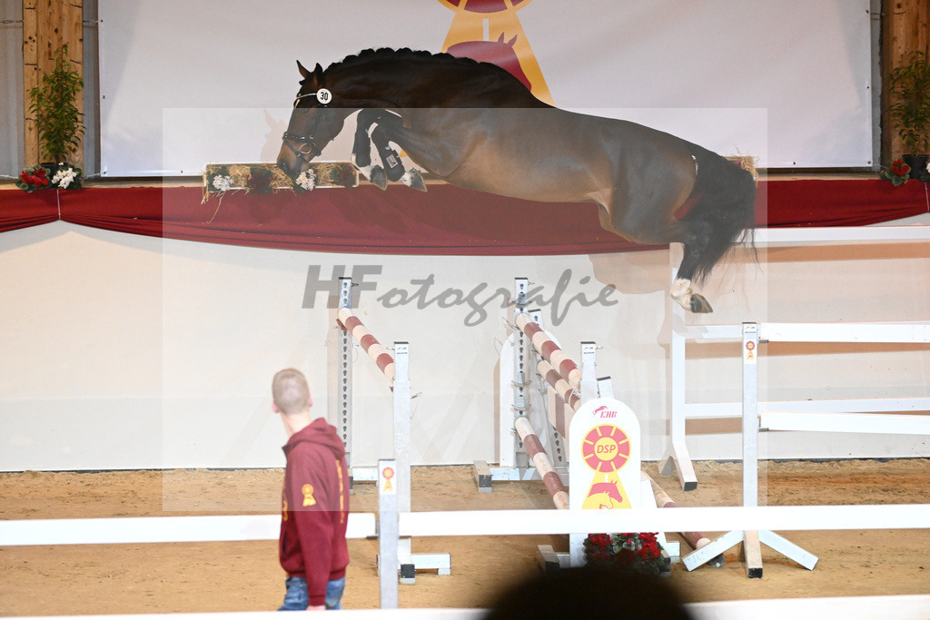 Kat-Nr. 30 Opium v d Moerhoeve_Keppel_1230964 | hf-fotografie - Realisiert mit Pictrs.com