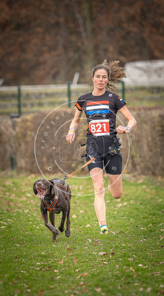 CaniXpix_DV3A6349 | Hundefotografie, Tierfotograf, Pfotenfotografie, Fotoshooting Hund, Hunde Portrait, Hundesport, Hundeportraits, Heideshooting, Hunde, Sportfotograf, Hundefotograf, Turnierhundsport, THS,  - Realisiert mit Pictrs.com