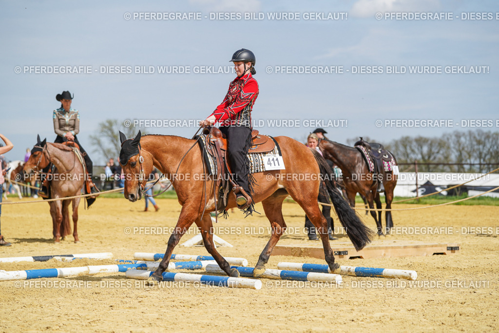 DSC04549 | Pferdegrafie