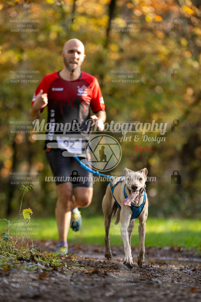 MompixPhotography_Bischwiller23_Canicross-29 | PayLife