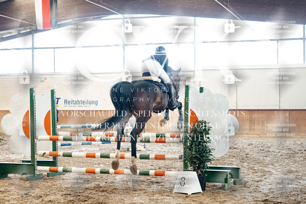 CK904586 | Turnierfotografie Pferdefotografie Trier Rheinland-Pfalz Pferdesport Reitsport Tierfotografie Sportfotografie Pferdevideo Pferdevideografie Equestrianvideography equestrianphotography  - Realisiert mit Pictrs.com