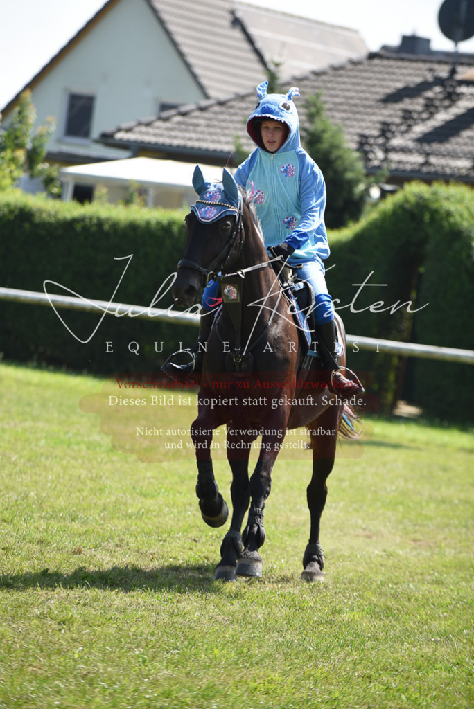 DSC_0216 | Pferde- und Turnierfotografie in Westsachsen. Pferdeportraits, Auftragszeichnungen und intuitive Kunst.