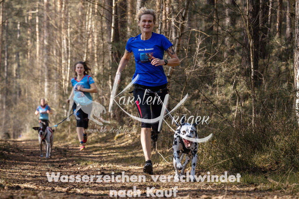 1331_ZZ94613 | kk-dogfotos