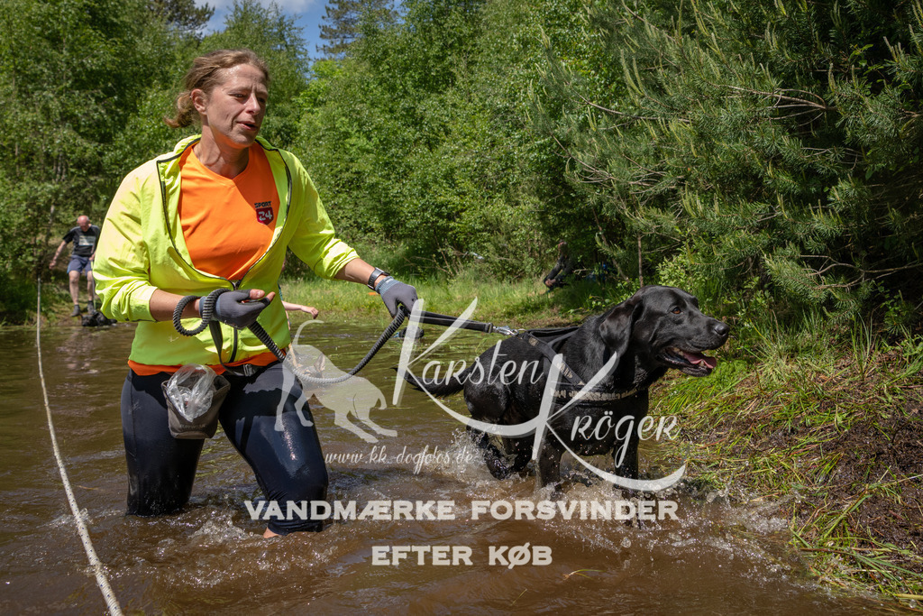 1314DKK994229 | kk-dogfotos