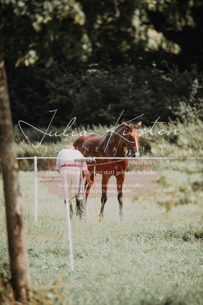 DSC_0574 | Pferde- und Turnierfotografie in Westsachsen. Pferdeportraits, Auftragszeichnungen und intuitive Kunst.
