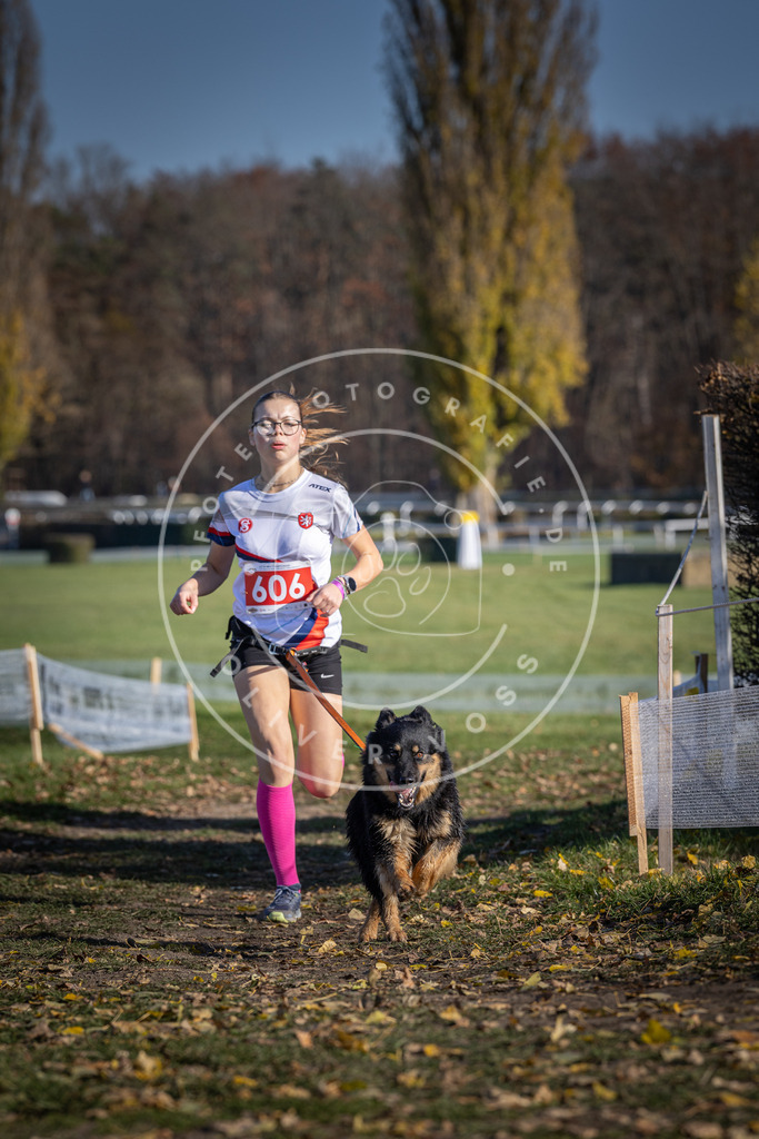 CaniXpix_DV3A9631 | Hundefotografie, Tierfotograf, Pfotenfotografie, Fotoshooting Hund, Hunde Portrait, Hundesport, Hundeportraits, Heideshooting, Hunde, Sportfotograf, Hundefotograf, Turnierhundsport, THS,  - Realisiert mit Pictrs.com