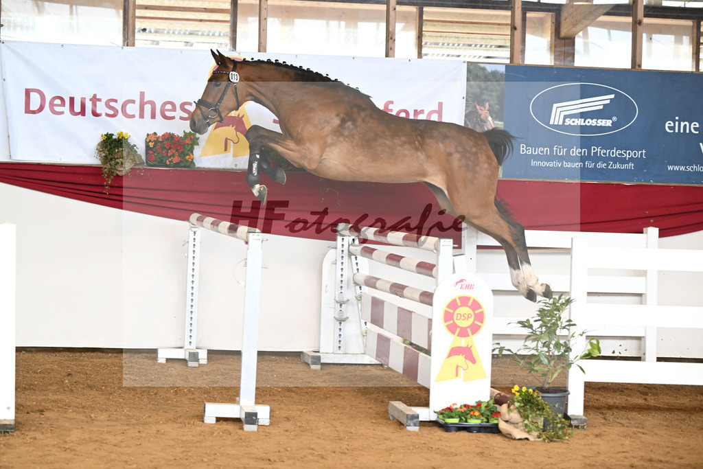 Kat-Nr. 13 Haalandia v. Haaland_ZG Halm u Schmid_16250644 | hf-fotografie - Realisiert mit Pictrs.com