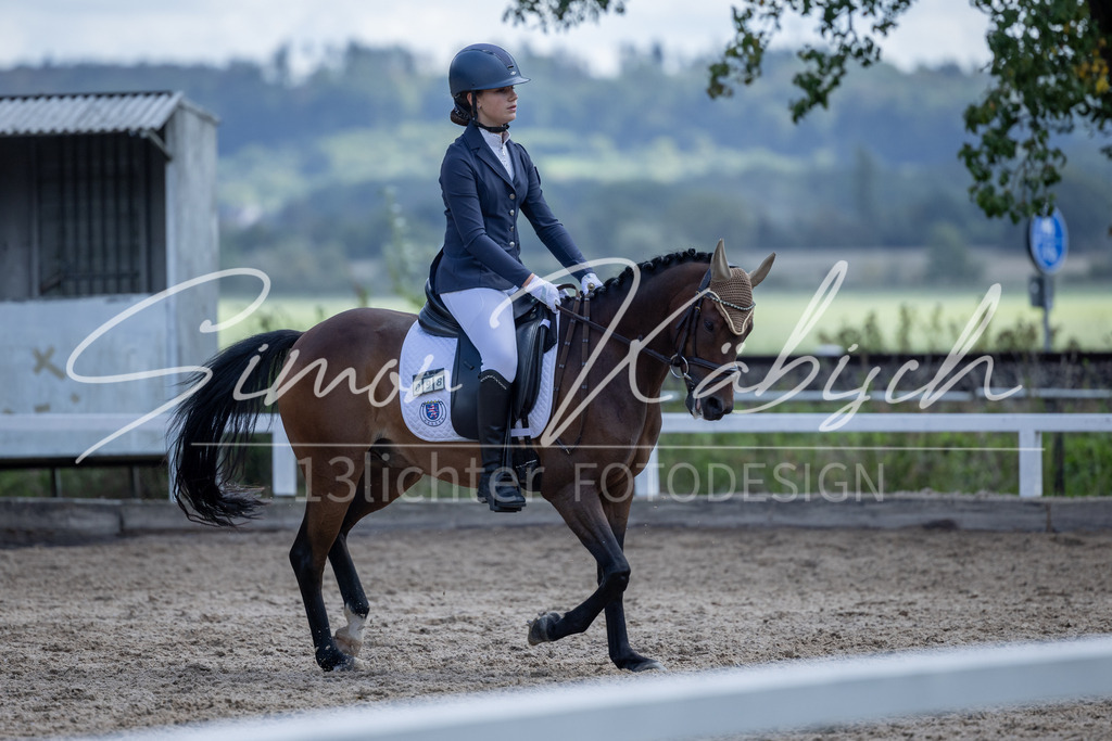 20260905-_3LI8378 | Tierfotografie Pferde, Hunde, Katzen, Haustiere.
Turnierfotografie Reitturniere, Reiten, Springreiten, Dressur in Hanau, dem Main-Kinzig-Kreis und dem Rhein-Main- Gebiet um Frankfurt