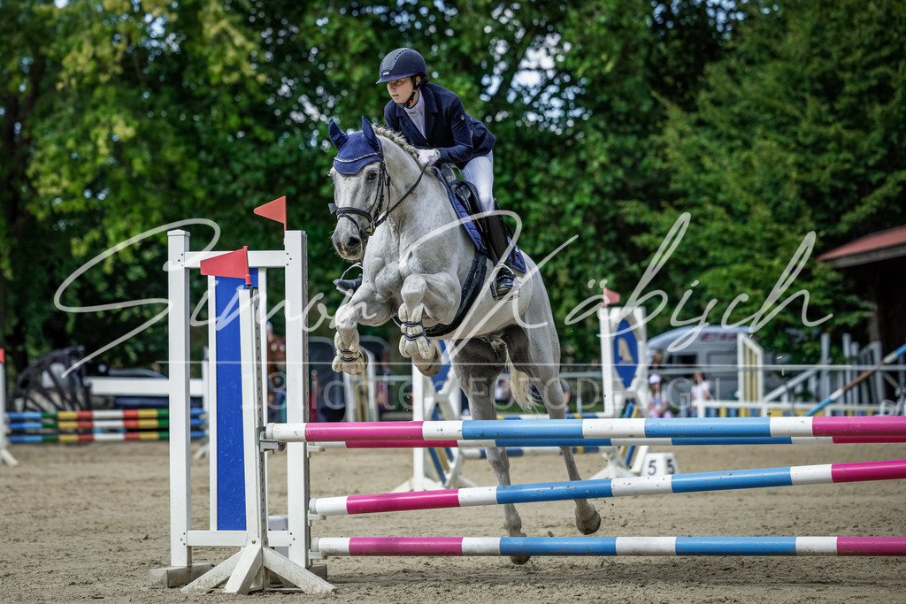 20250906-_3LI6175 | Tierfotografie Pferde, Hunde, Katzen, Haustiere.
Turnierfotografie Reitturniere, Reiten, Springreiten, Dressur in Hanau, dem Main-Kinzig-Kreis und dem Rhein-Main- Gebiet um Frankfurt