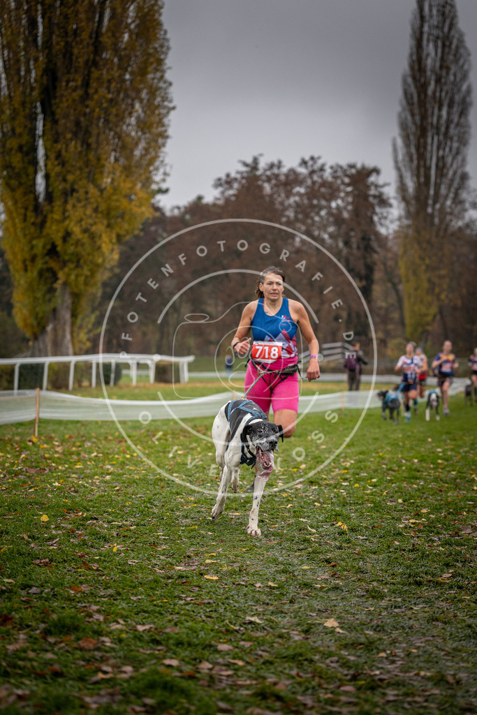 CaniXpix_DV3A9023 | Hundefotografie, Tierfotograf, Pfotenfotografie, Fotoshooting Hund, Hunde Portrait, Hundesport, Hundeportraits, Heideshooting, Hunde, Sportfotograf, Hundefotograf, Turnierhundsport, THS,  - Realisiert mit Pictrs.com