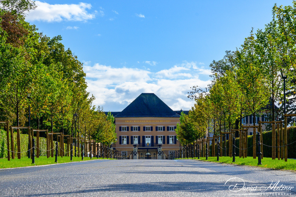 _DSC0385 | Fotografien, Fotos und Bilder aus Mainz, Frankfurt, Wiesbaden und anderen Orten auf der Welt - Fotografiert von Darius Metzner