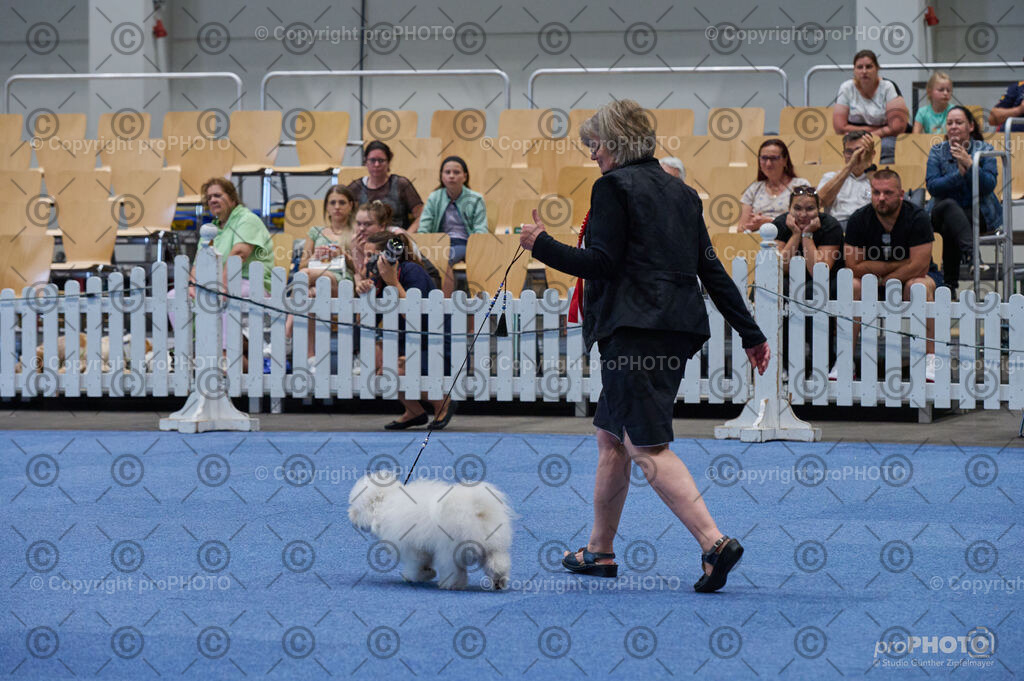 202406_ÖKV-IHA-Tulln24_DSC_5143 | proPHOTO - Realisiert mit Pictrs.com