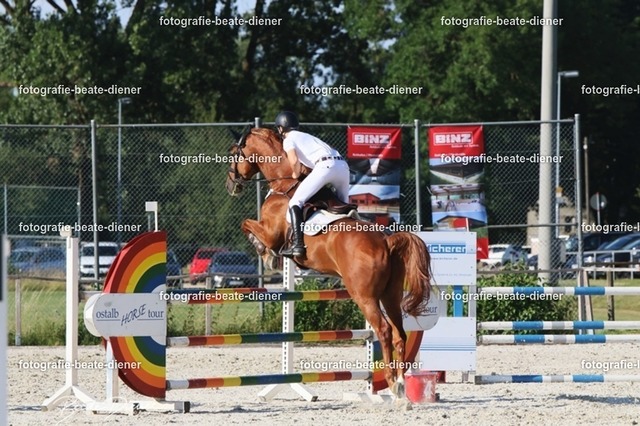 OHT 2022 Röhlingen (151) | Fotografie, Tiere, Hunde, Katzen, Pferde, Sportfotografie, Fotosession, Tierfotografie, Turnierfotografie, Fotografin, Fotograf - Realisiert mit Pictrs.com