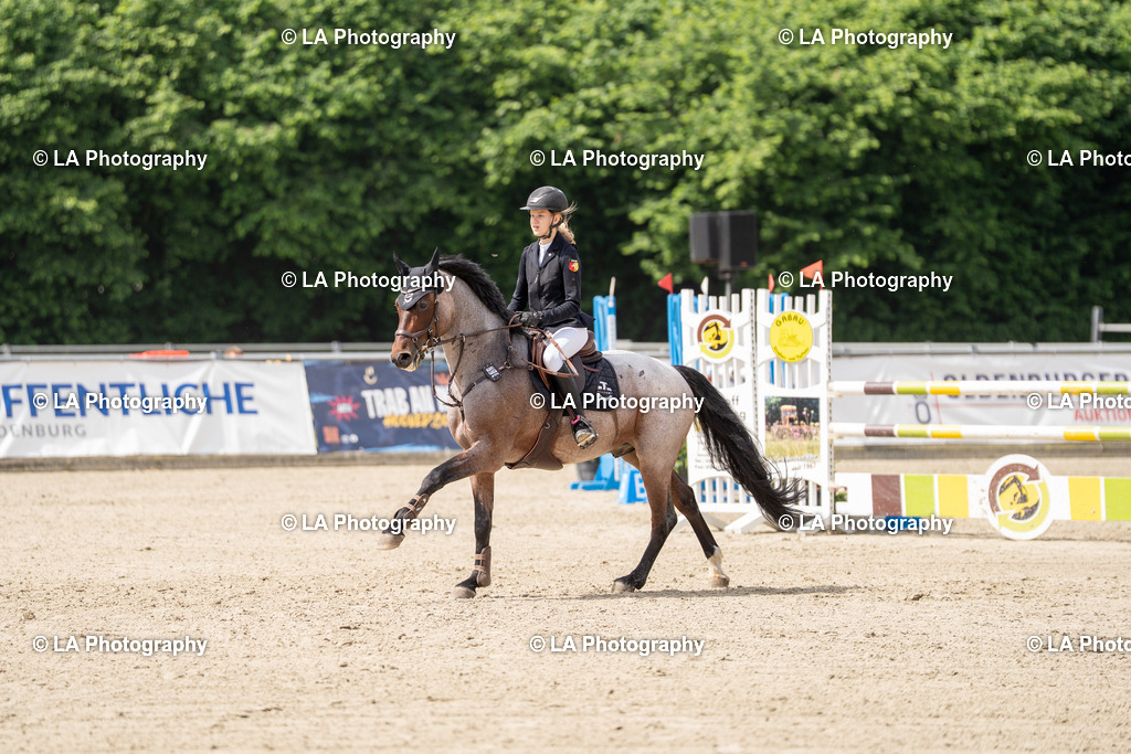 DSC04890 | Entdecke einzigartige Turnierfotos und persönliche Pferde- und Hundeportraits bei LA Photography. Für jeden Reiter und Pferd das perfekte Bild! Stöbere jetzt! - Realisiert mit Pictrs.com