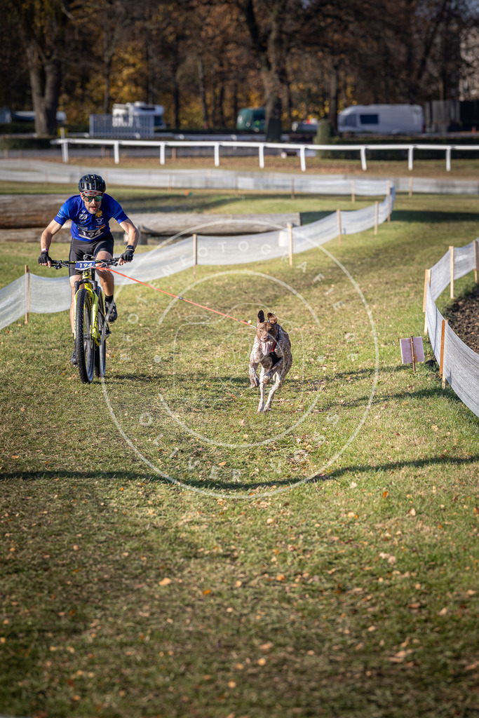 CaniXpix_DV3A2548 | Hundefotografie, Tierfotograf, Pfotenfotografie, Fotoshooting Hund, Hunde Portrait, Hundesport, Hundeportraits, Heideshooting, Hunde, Sportfotograf, Hundefotograf, Turnierhundsport, THS,  - Realisiert mit Pictrs.com