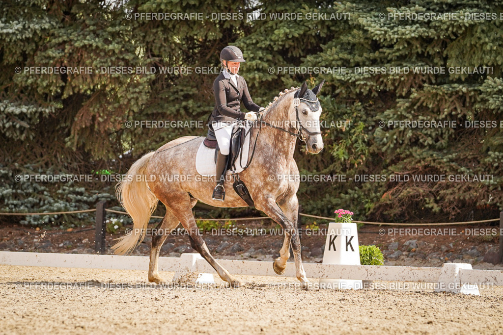 DSC01063 | Pferdegrafie