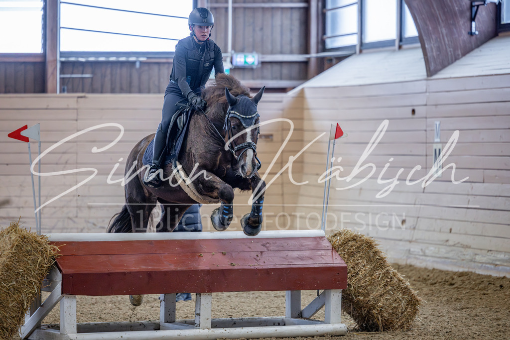 20260221-_3LI8739 | Tierfotografie Pferde, Hunde, Katzen, Haustiere.
Turnierfotografie Reitturniere, Reiten, Springreiten, Dressur in Hanau, dem Main-Kinzig-Kreis und dem Rhein-Main- Gebiet um Frankfurt