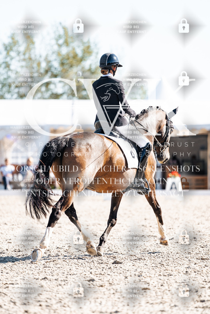 CK908557 | Turnierfotografie Pferdefotografie Trier Rheinland-Pfalz Pferdesport Reitsport Tierfotografie Sportfotografie Pferdevideo Pferdevideografie Equestrianvideography equestrianphotography  - Realisiert mit Pictrs.com