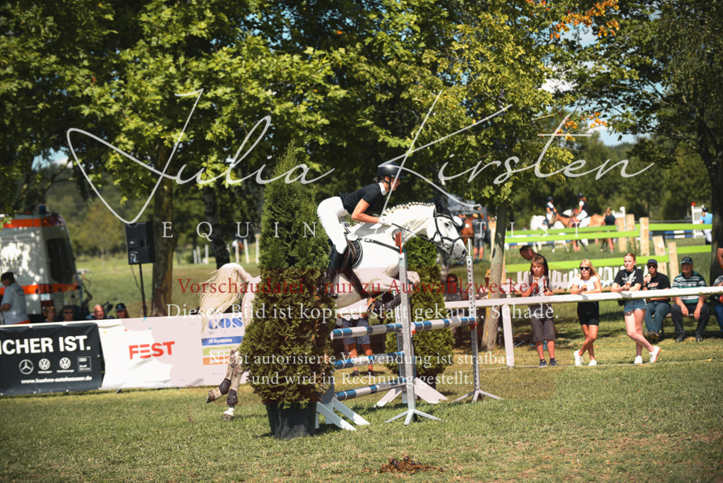DSC_6551 | Pferde- und Turnierfotografie in Westsachsen. Pferdeportraits, Auftragszeichnungen und intuitive Kunst.
