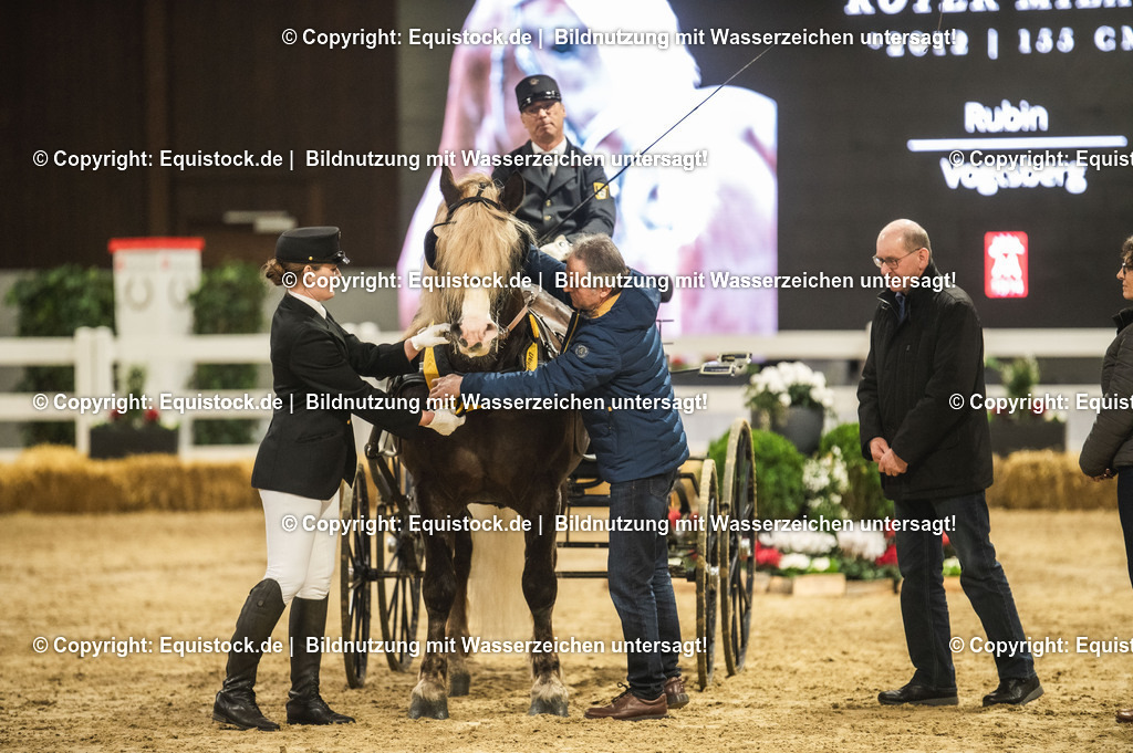 20240302_Hengstvorstellung_Marbach_TOMsPiC_0658-2 | equistock
