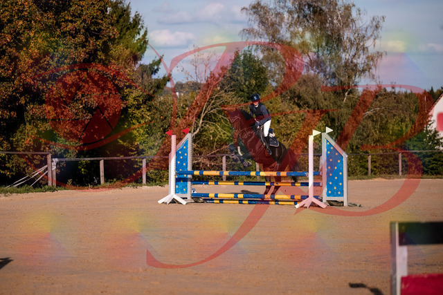 2026_10_03_Siefer-Hof_171546_Z81_13238462 | Professionelle Reitsport-, Turnier- und Eventfotografie von Robert Broda. Galerien mit ausgewählten und bearbeiteten Bildern direkt online ansehen und bestellen.