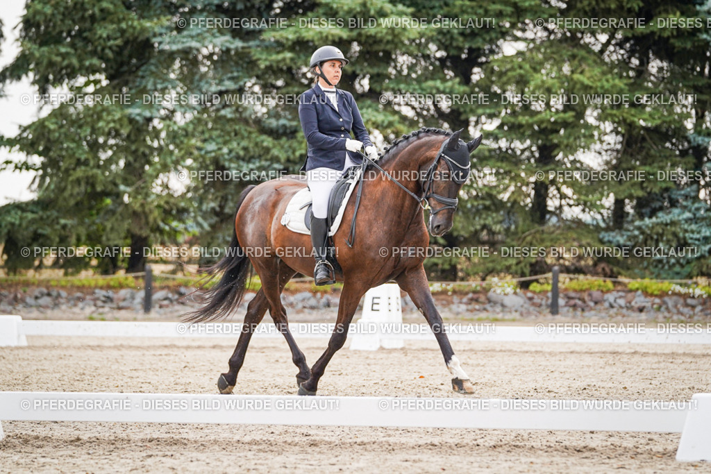 DSC00313 | Pferdegrafie