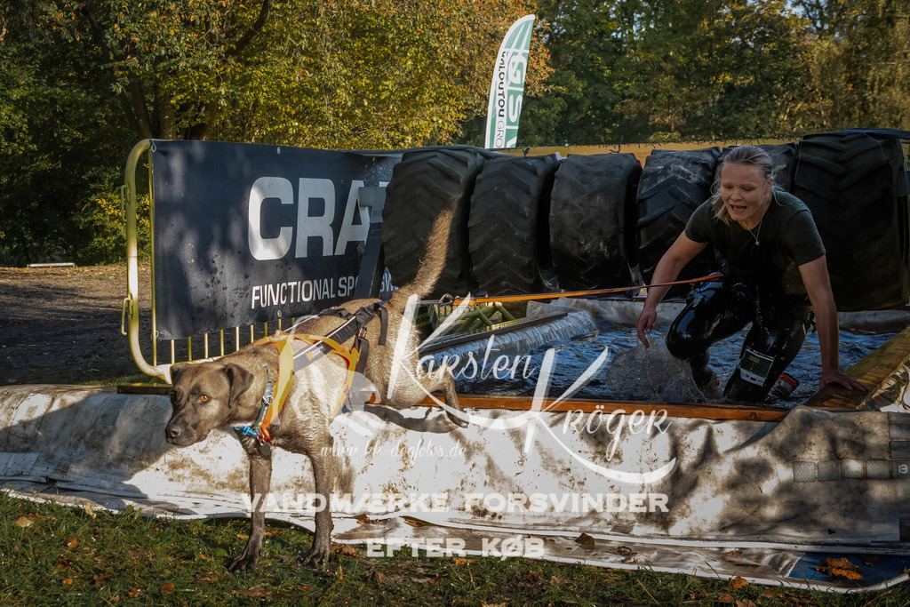 0939_ZZ91679 | kk-dogfotos