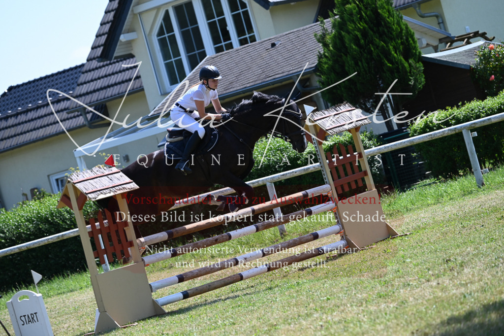 DSC_0745 | Pferde- und Turnierfotografie in Westsachsen. Pferdeportraits, Auftragszeichnungen und intuitive Kunst.