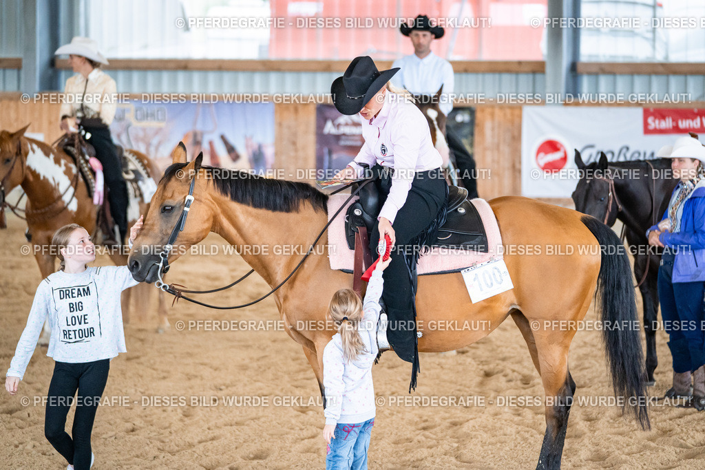 DSC02378 | Pferdegrafie