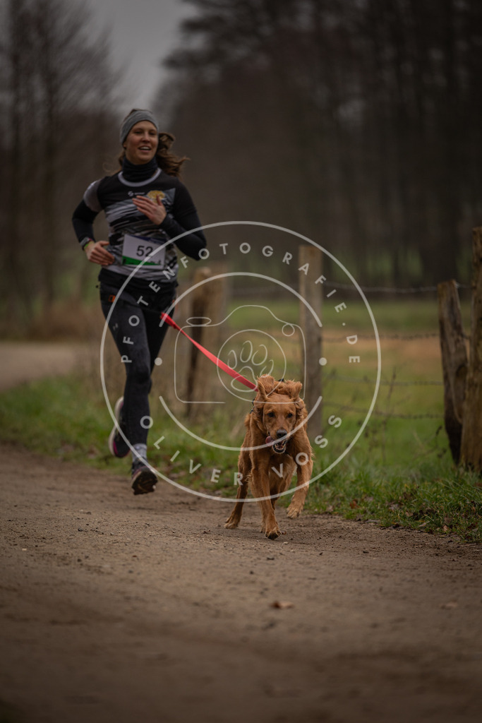 Pfotenfotografie_DV3A2926 | Hundefotografie, Tierfotograf, Pfotenfotografie, Fotoshooting Hund, Hunde Portrait, Hundesport, Hundeportraits, Heideshooting, Hunde, Sportfotograf, Hundefotograf, Turnierhundsport, THS,  - Realisiert mit Pictrs.com